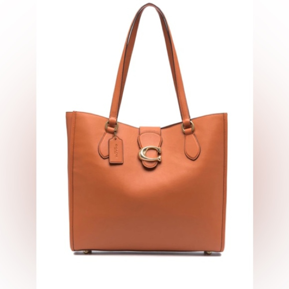 The Coach Theo Tote Bag Canyon